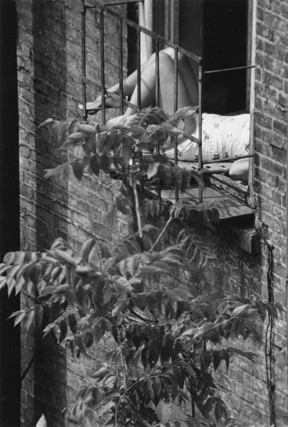 André Kertész - A Life in Photographs - Exibart Street