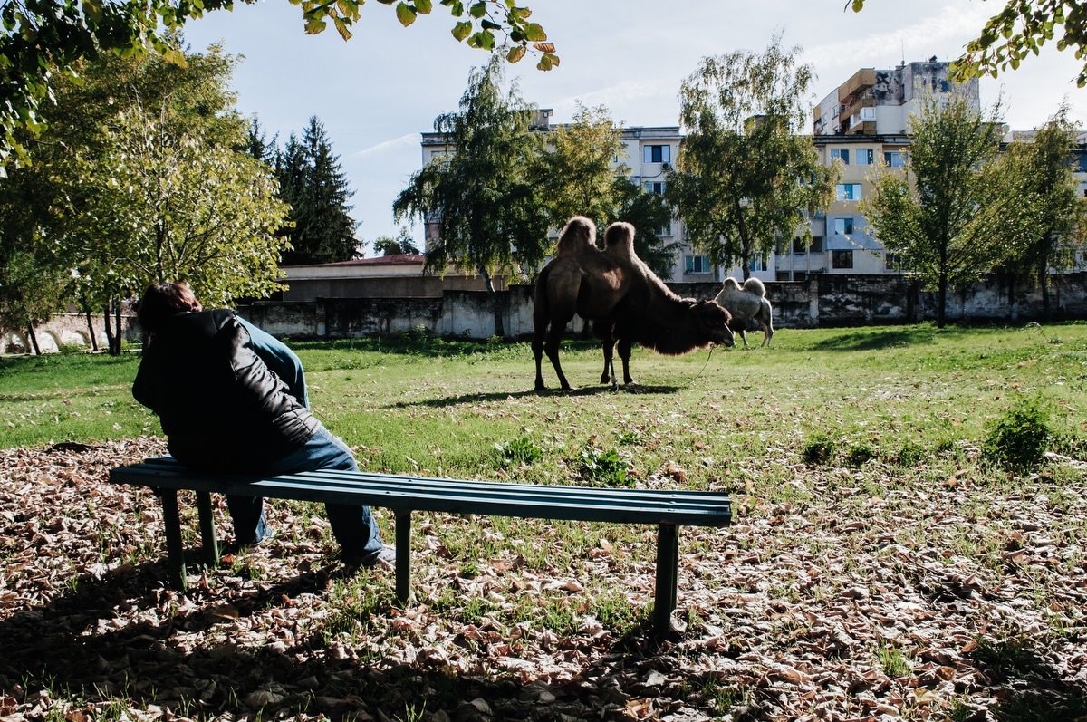 svilen-nachev-the-2019-exibart-street-contest-winner-exibart-street-photography-25