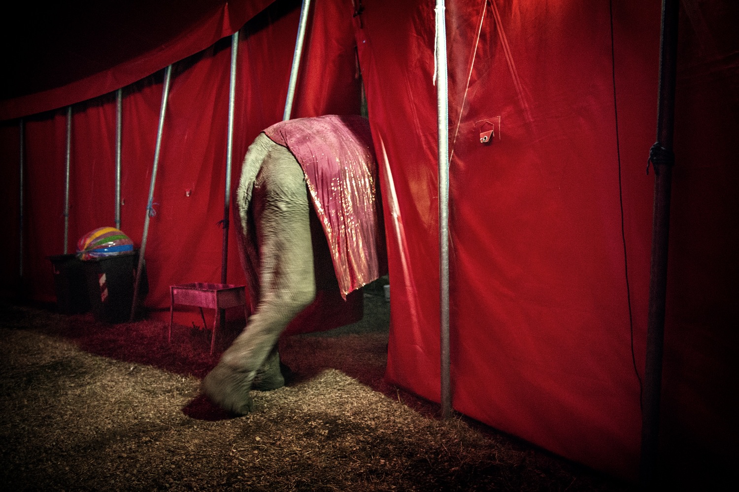 exibart-street-finalist-liliana-ranalletta-interview-exibart-street-photography-05