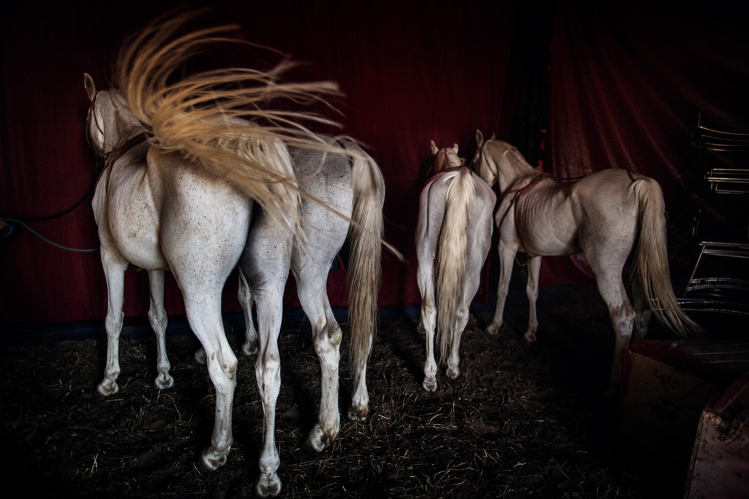 exibart-street-finalist-liliana-ranalletta-interview-exibart-street-photography-06