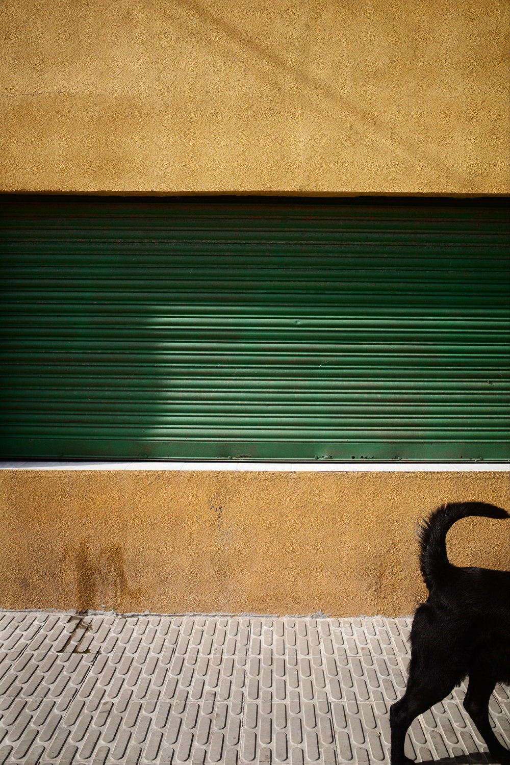 exibart-street-finalist-ova-hamer-interview-exibart-street-photography-09