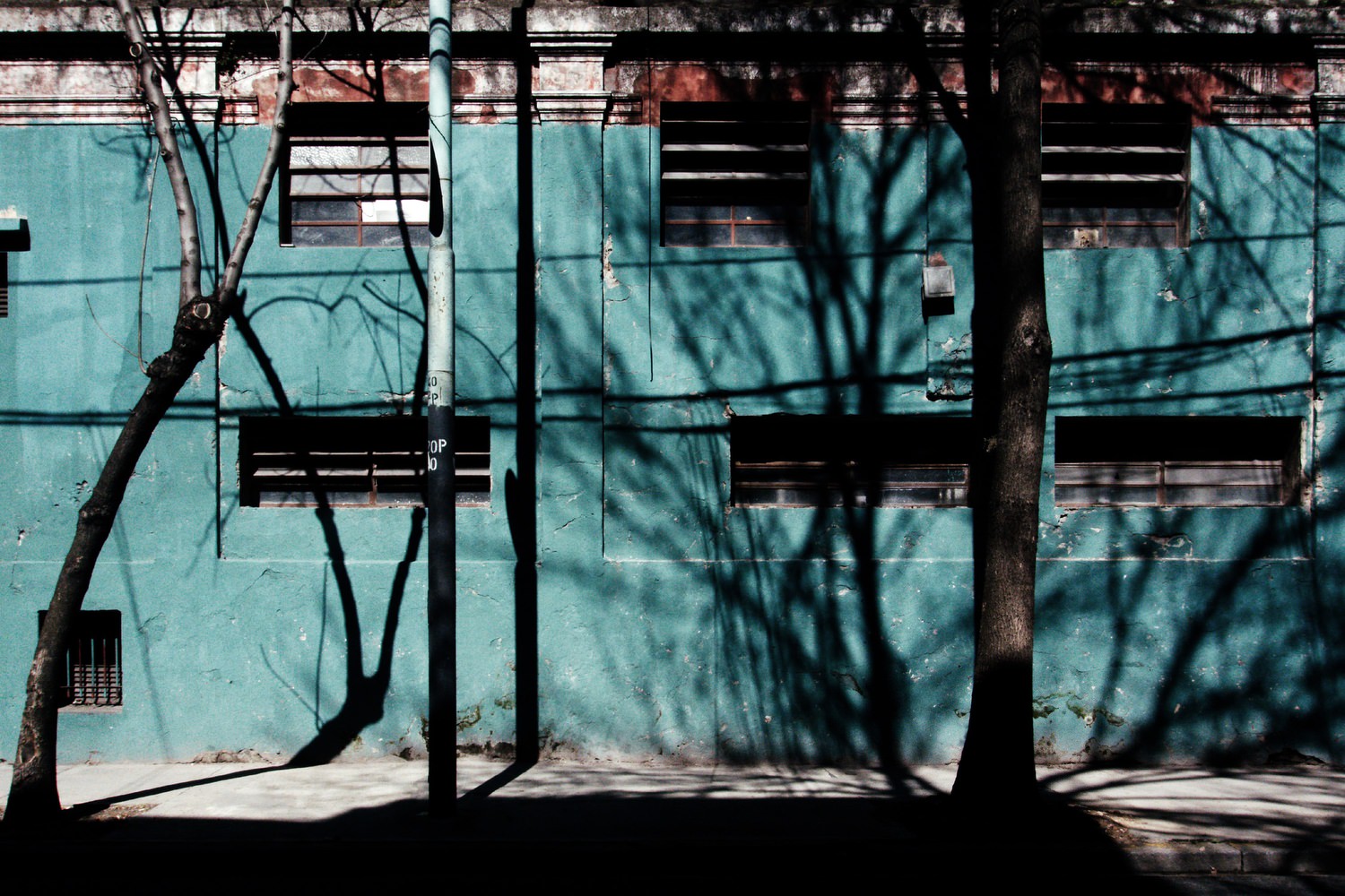 exibart-street-finalist-ova-hamer-interview-exibart-street-photography-10