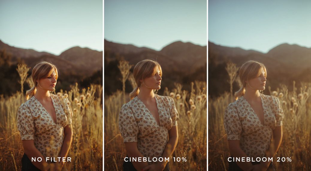 Moment Announces the New CineBloom Diffusion Filters for "Dreamy, Film