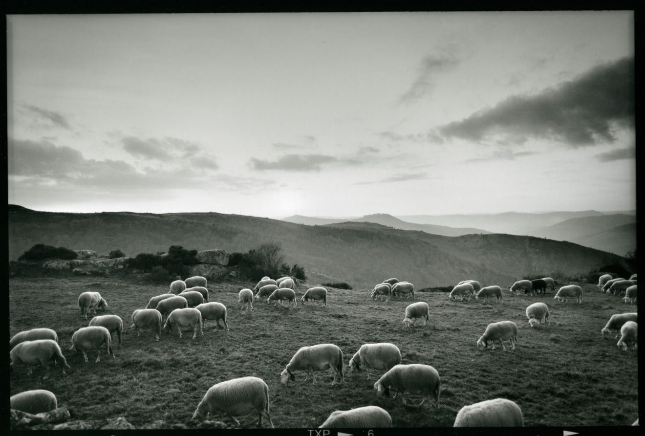 Raymond Depardon Rural Exibart Street