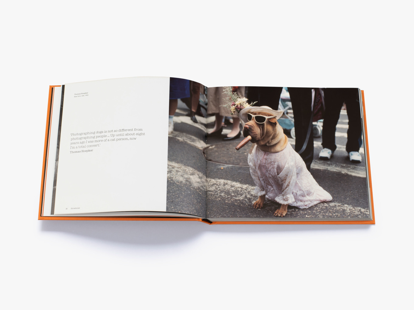 Три минуты ради собаки книга. Книги про собак. Магнум книга. Половина собаки книга. Ретро книги про собак.