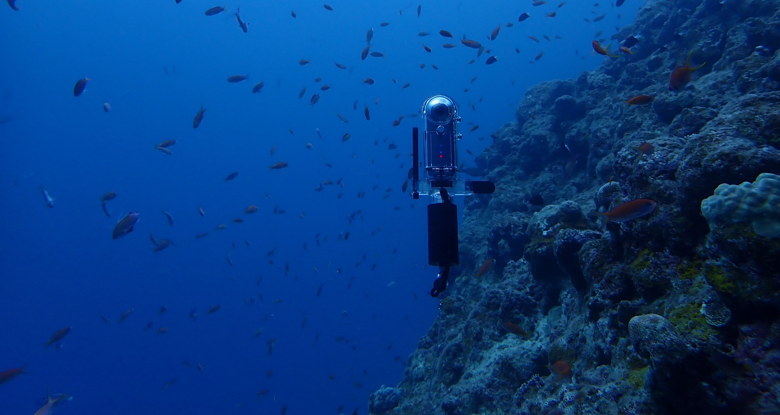 Ricoh Unveils the StayThee Buoyancy Compensator - Exibart Street