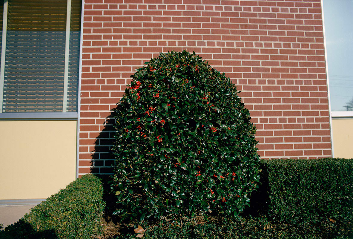 11/13迄値引　William Eggleston FOR NOW 訳あり新品 FOR NOW by William Eggleston（ウィリアム・エグルストン