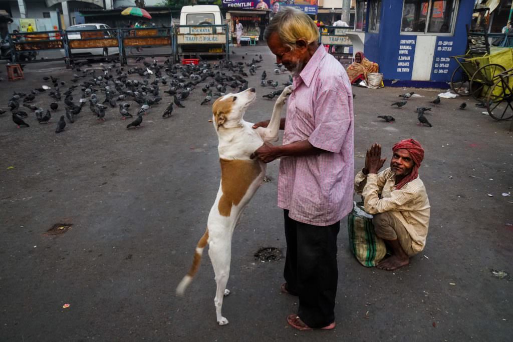 md-enamul-kabir-best-series-finalist-of-2022-exibart-street-contest-exibart-street-photography-09