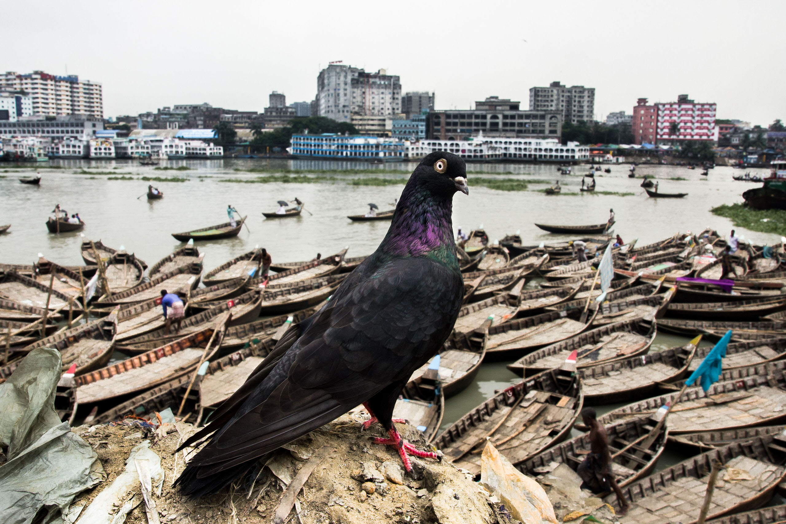 md-enamul-kabir-best-series-finalist-of-2022-exibart-street-contest-exibart-street-photography-18