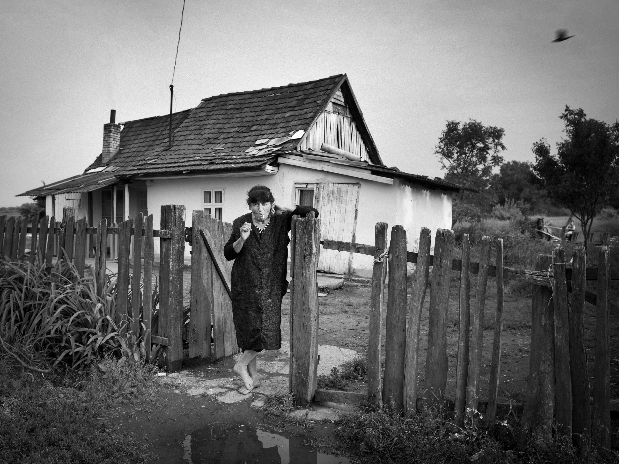 toby-binder-best-series-finalist-of-2022-exibart-street-contest-exibart-street-photography-27