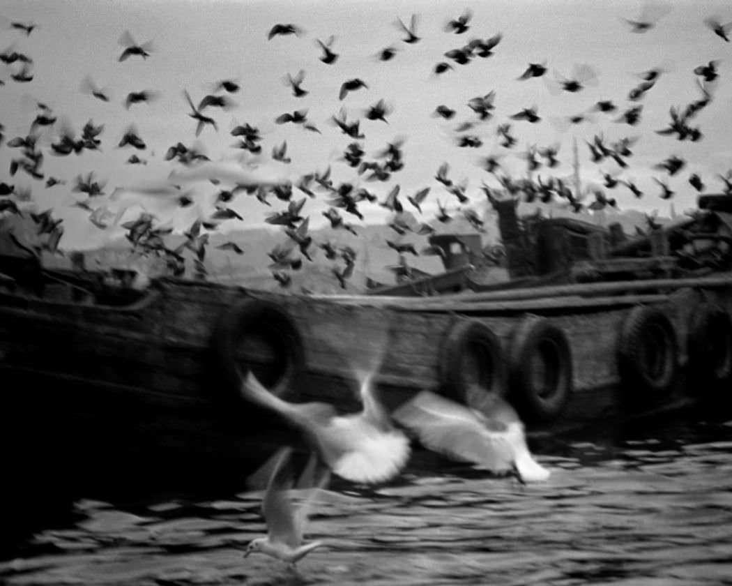Ara Güler: A Play of Light and Shadow