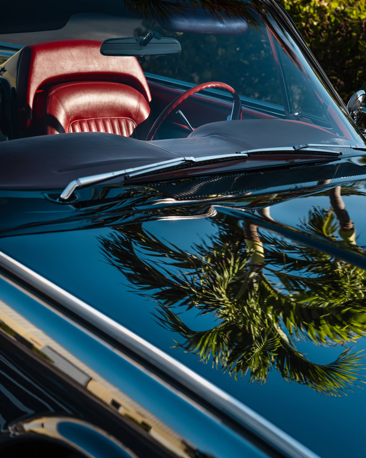 Anastasia Samoylova: Atlantic Coast