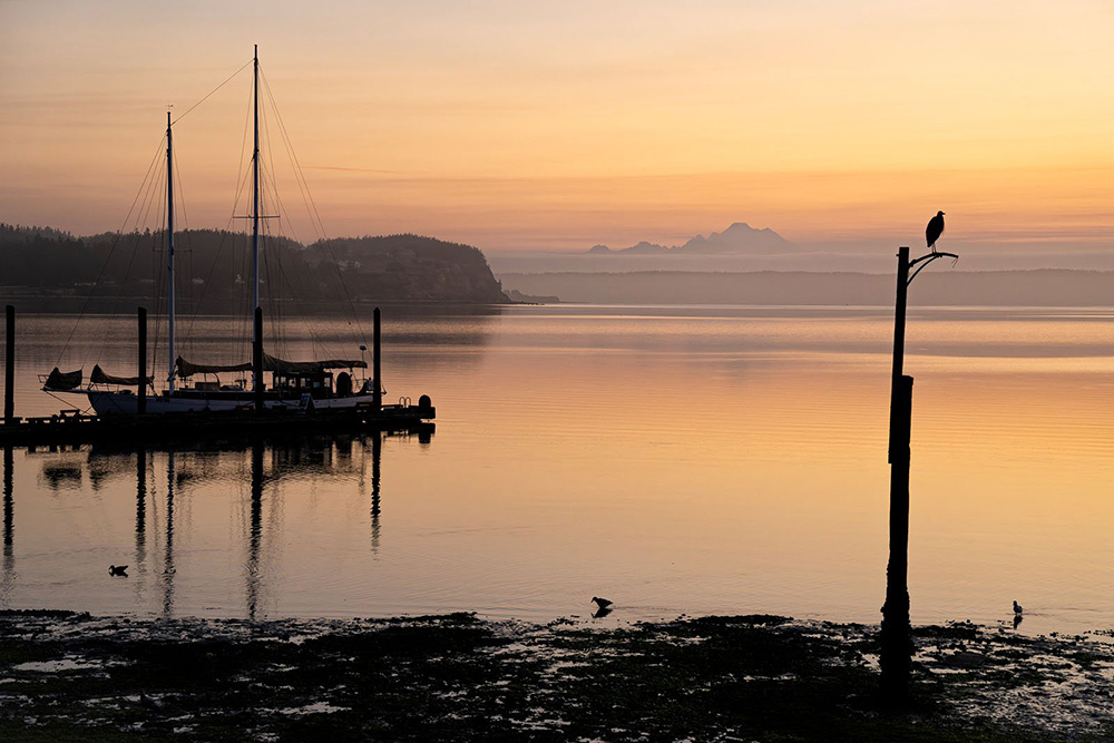 tamron-25-200mm-f2-8-5-6-g2-zoom-exibart-street-photography-07