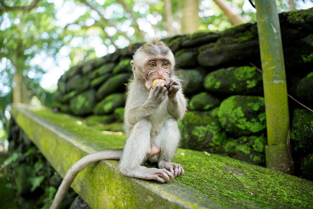 tamron-25-200mm-f2-8-5-6-g2-zoom-exibart-street-photography-08