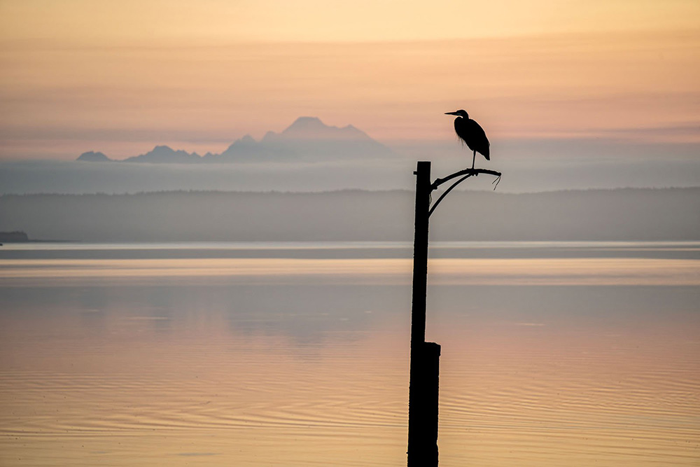 tamron-25-200mm-f2-8-5-6-g2-zoom-exibart-street-photography-09