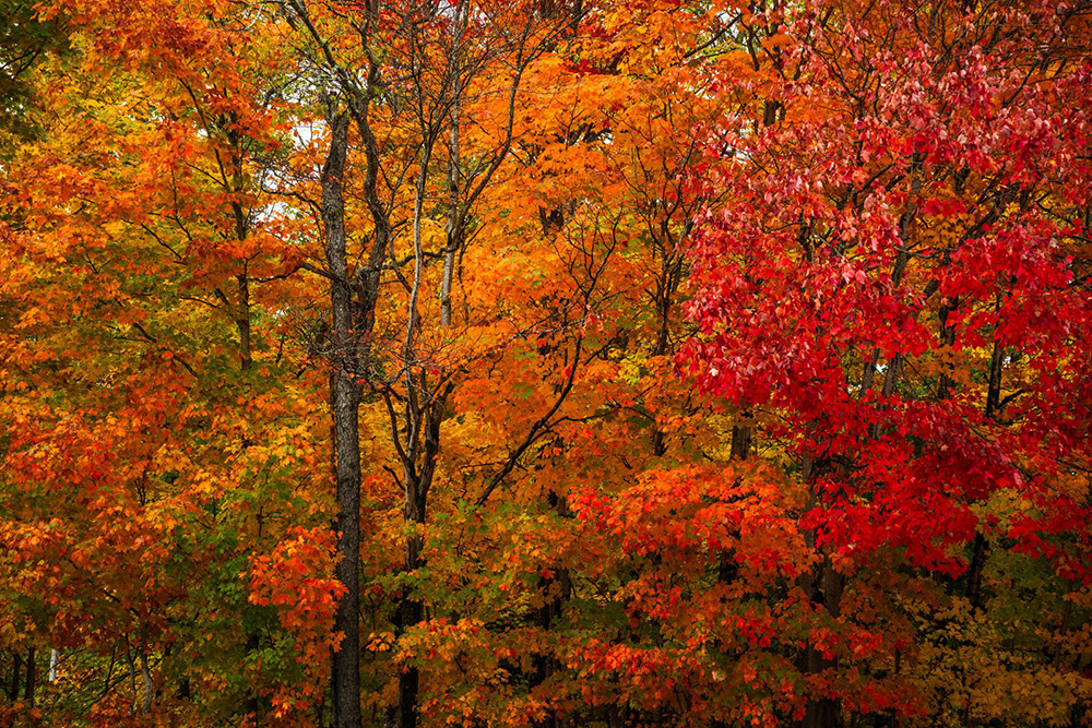 tamron-25-200mm-f2-8-5-6-g2-zoom-exibart-street-photography-13