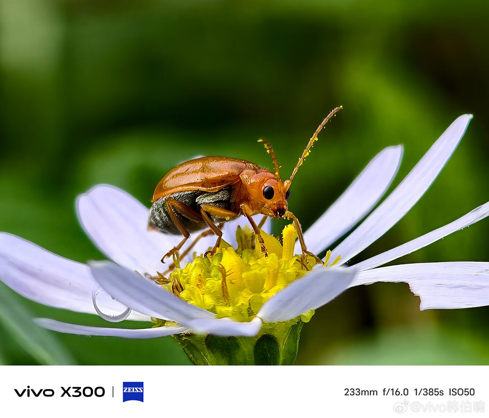 vivo-x300-series-zeiss-imaging-system-exibart-street-photography-05