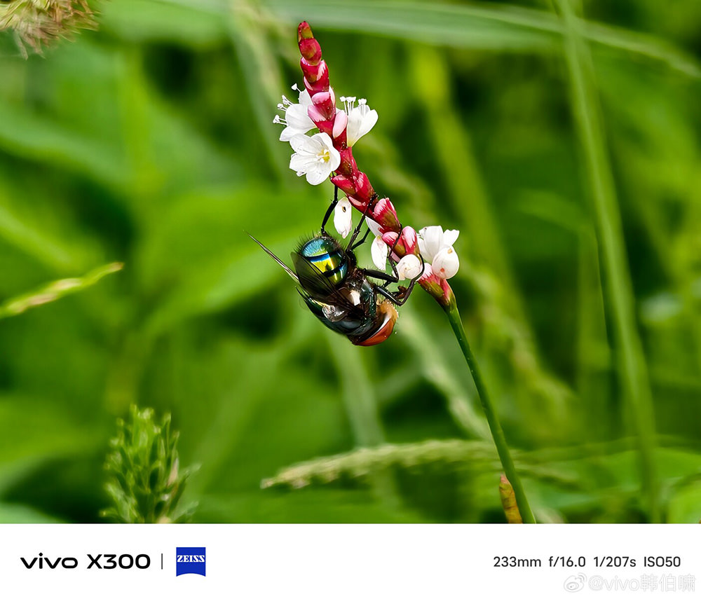 vivo-x300-series-zeiss-imaging-system-exibart-street-photography-12