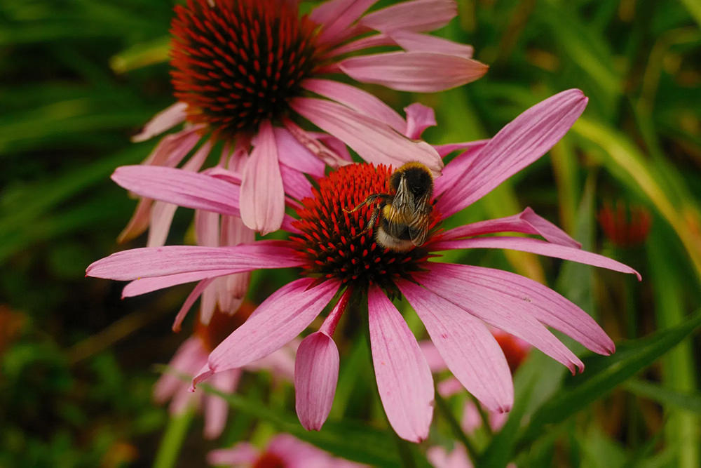 fujifilm-xc-13-33mm-ois-zoom-exibart-street-photography-07