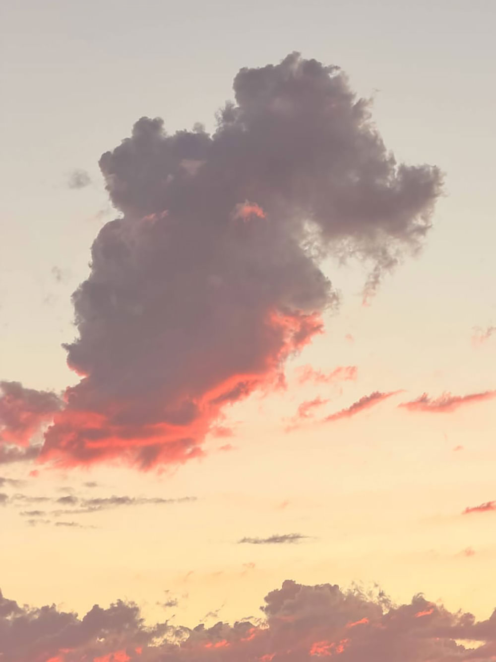 sandmarc-48mm-telephoto-lens-iphone-exibart-street-photography-11