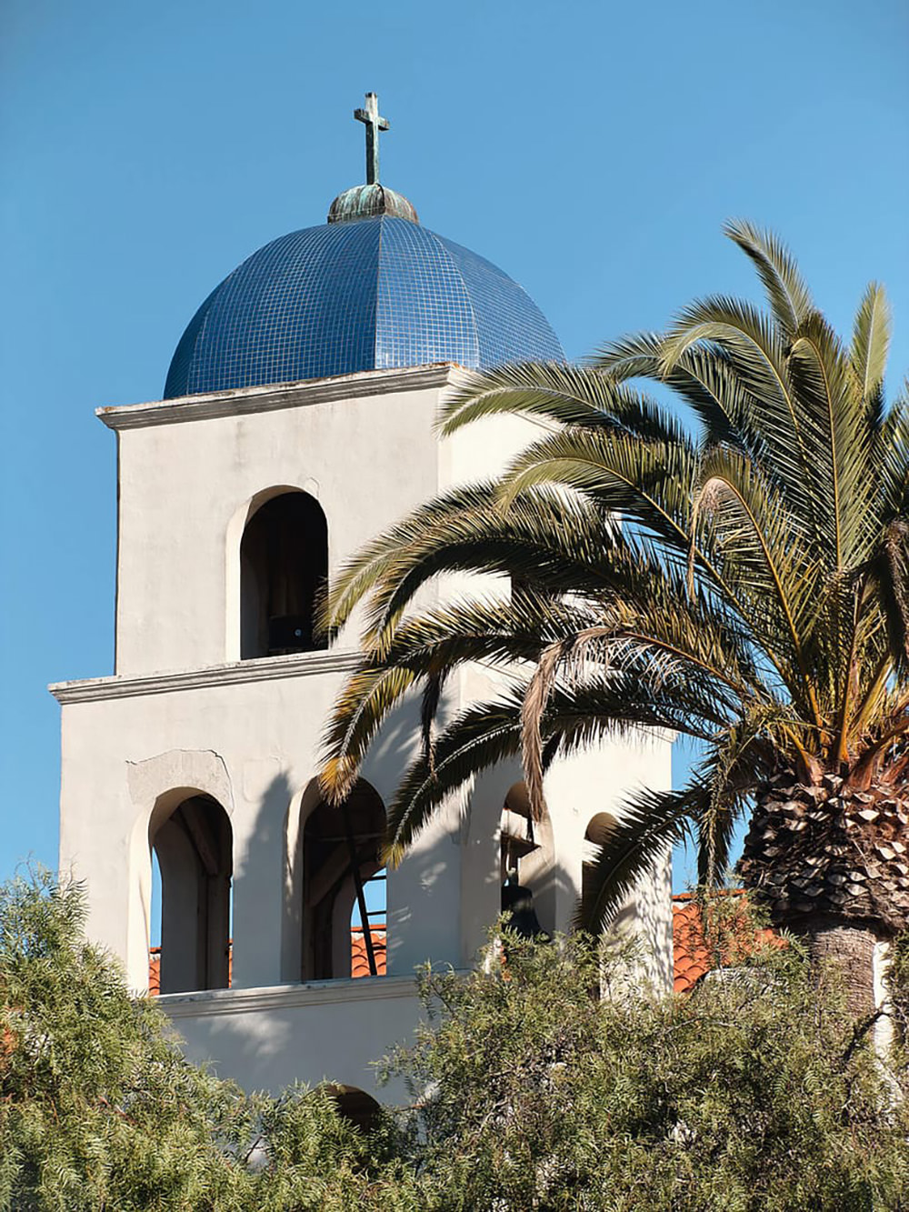 sandmarc-48mm-telephoto-lens-iphone-exibart-street-photography-12