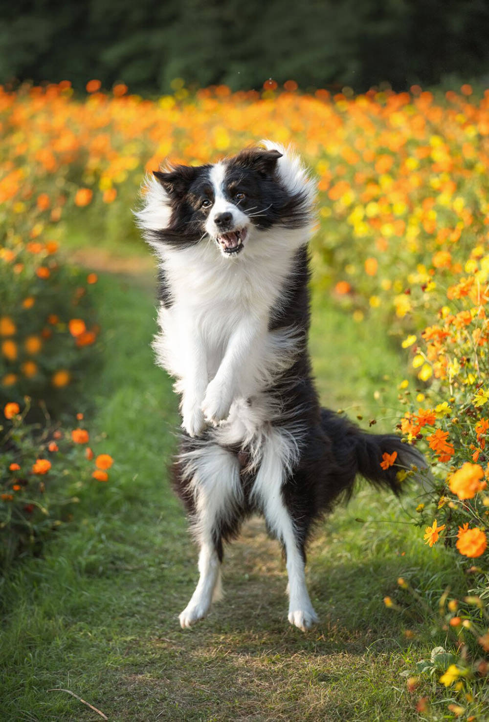 viltrox-first-lens-evo-series-exibart-street-photography-08