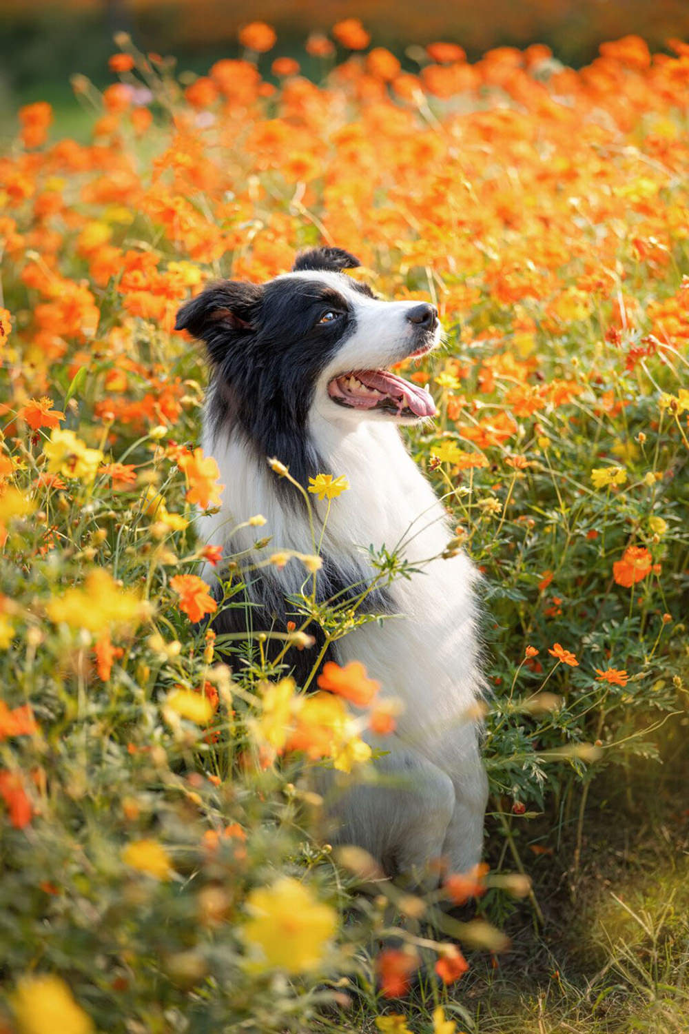 viltrox-first-lens-evo-series-exibart-street-photography-12