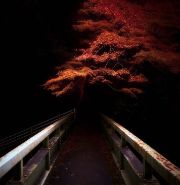 Yasuhiro Ogawa: Lost in Kyoto