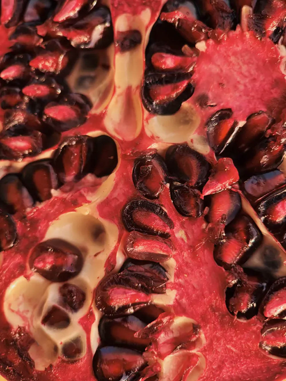 moment-macro-ii-lenses-exibart-street-photography-04