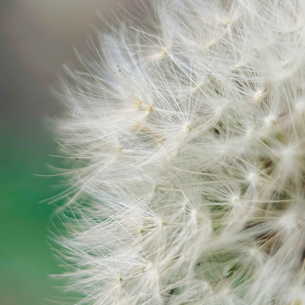 moment-macro-ii-lenses-exibart-street-photography-07