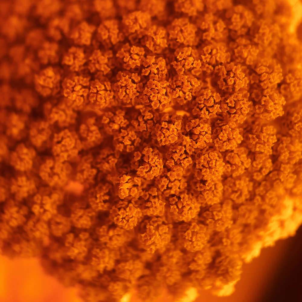 moment-macro-ii-lenses-exibart-street-photography-09