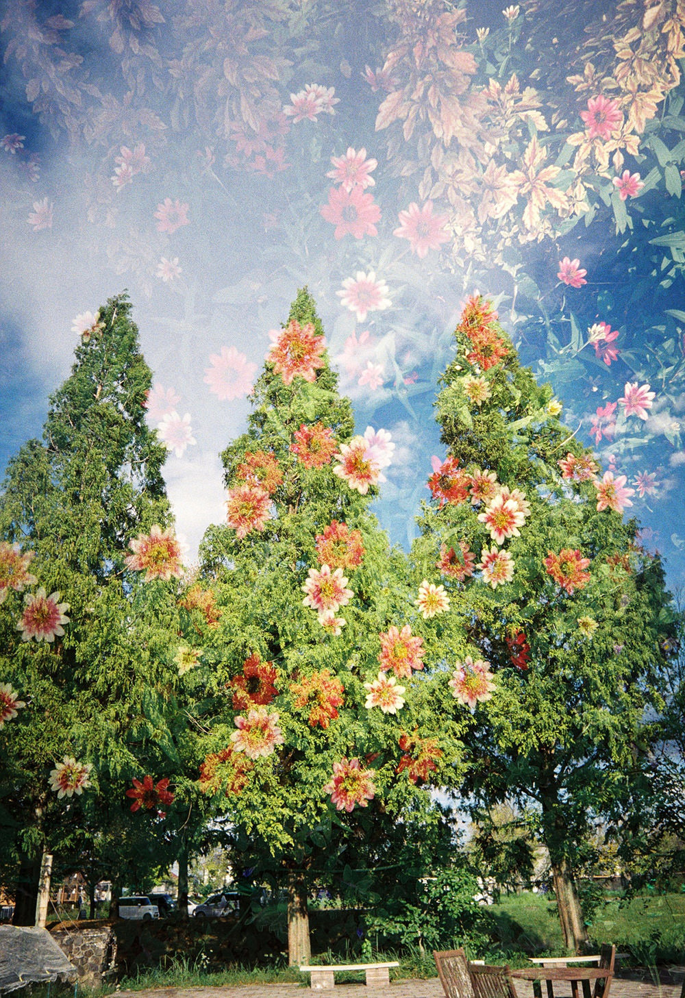 reto-kodak-snapic-a1-exibart-street-photography-12