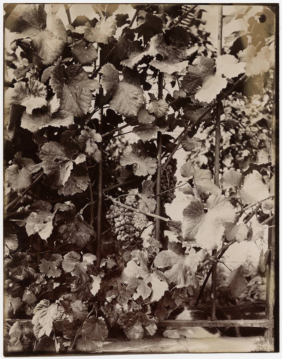 eugene-atget-the-making-of-a-reputation-exibart-street-photography-02