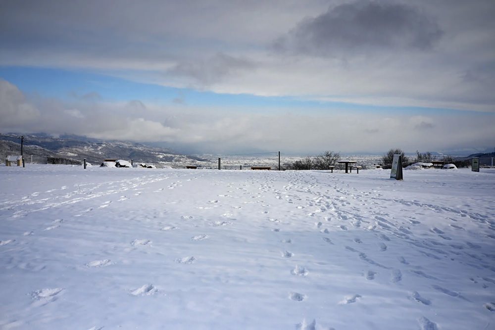 cosina-voigtlander-septon-40mm-f-2-aspherical-lens-exibart-street-photography-14