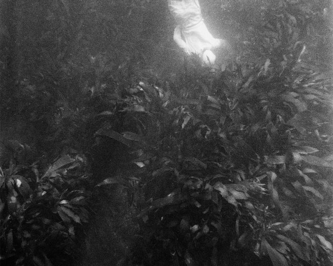 Kusukazu Uraguchi: Shima no Ama