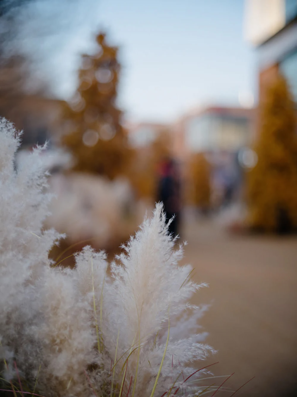 light-lens-lab-75mm-f-2-sp-ii-for-leica-m-mount-exibart-street-photography-05