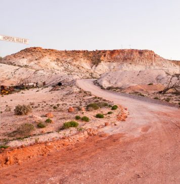 Abigail Varney: Rough & Cut