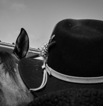 Brandon Ruffin: Migration Patterns