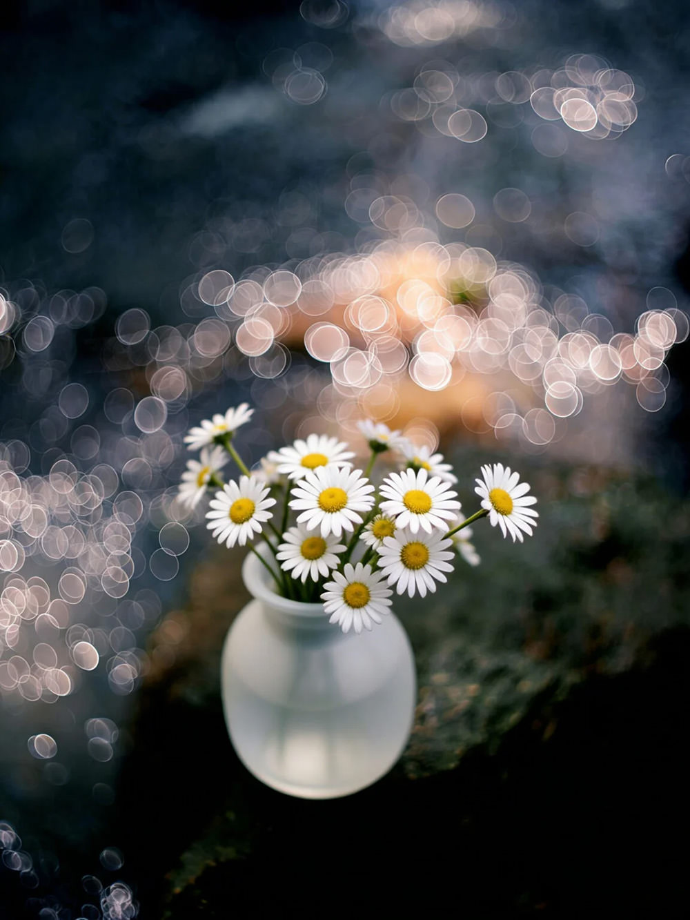 brightin-star-tri-sight-apo-primes-exibart-street-photography-03