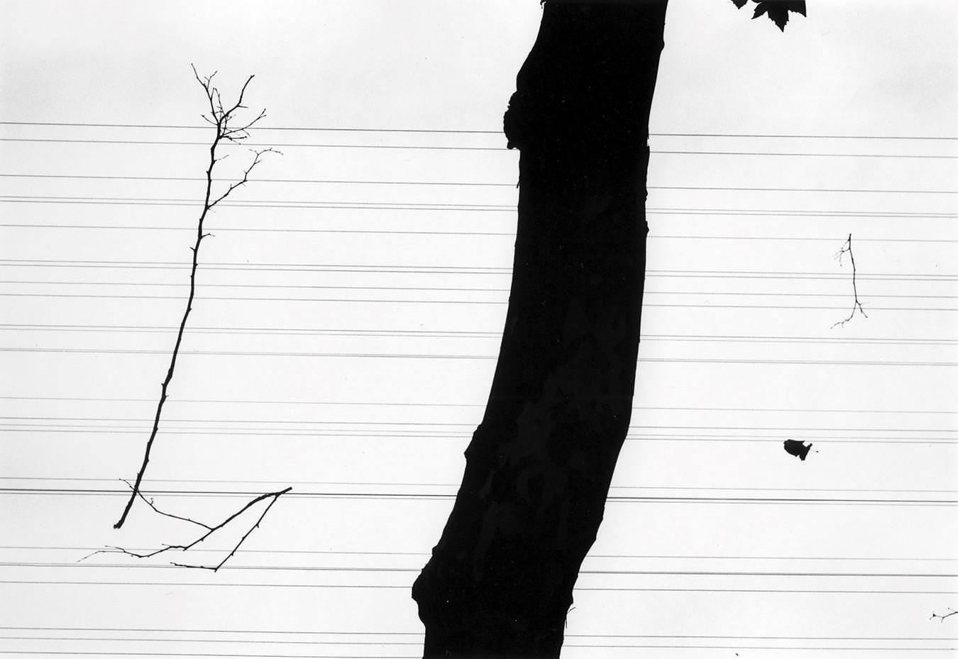 jeux-de-mots-a-group-show-in-paris-exibart-street-photography-05