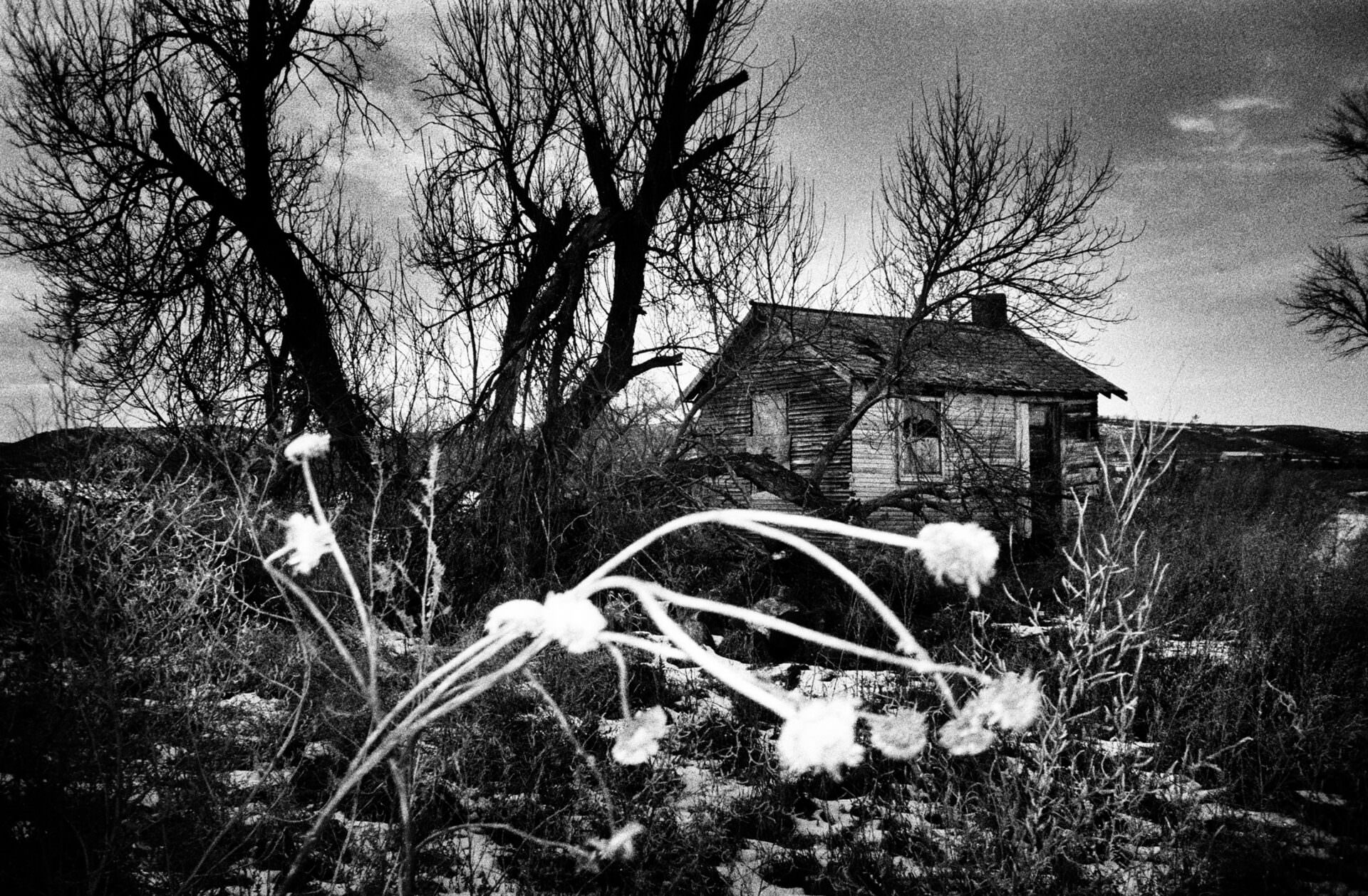 simon-vansteenwinckel-in-the-shadows-exibart-street-photography-09