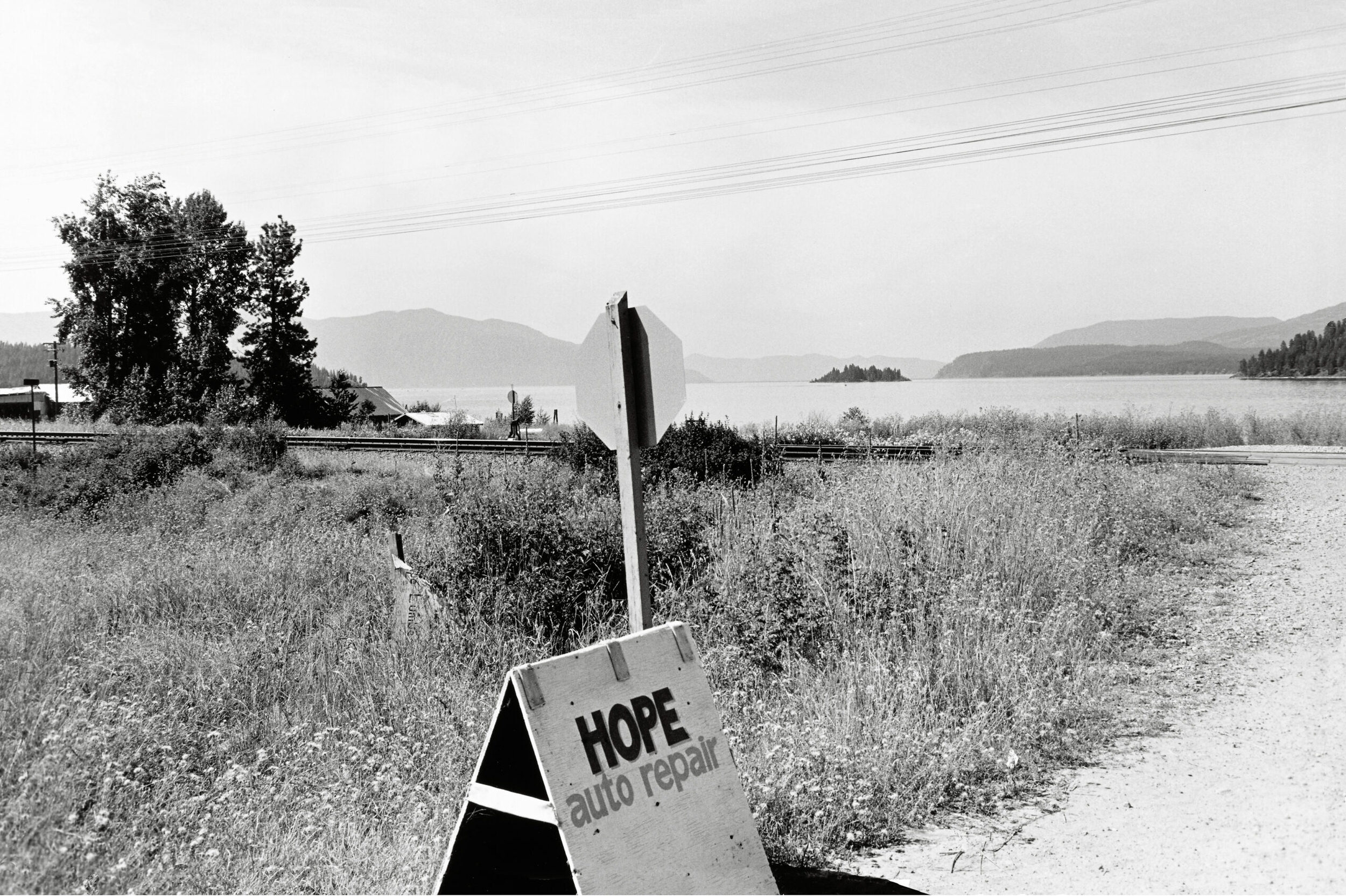 Lee Friedlander: Life Still