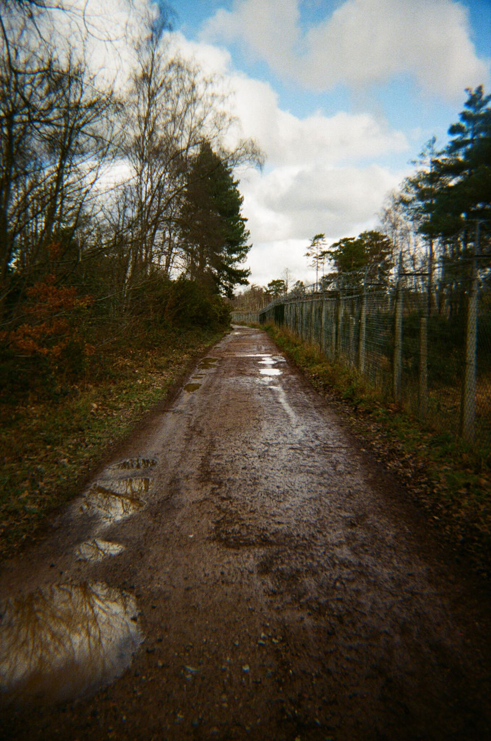 analogue-wonderland-pure35-exibart-street-photography-04