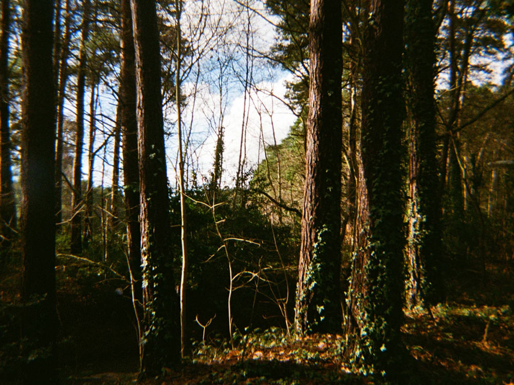analogue-wonderland-pure35-exibart-street-photography-10