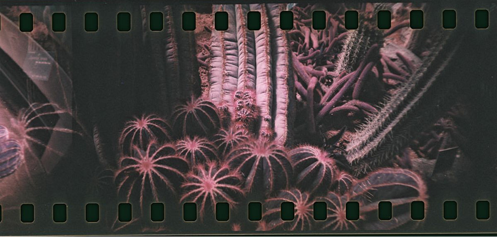 lomography-sprocket-rocket-new-colors-exibart-street-photography-10