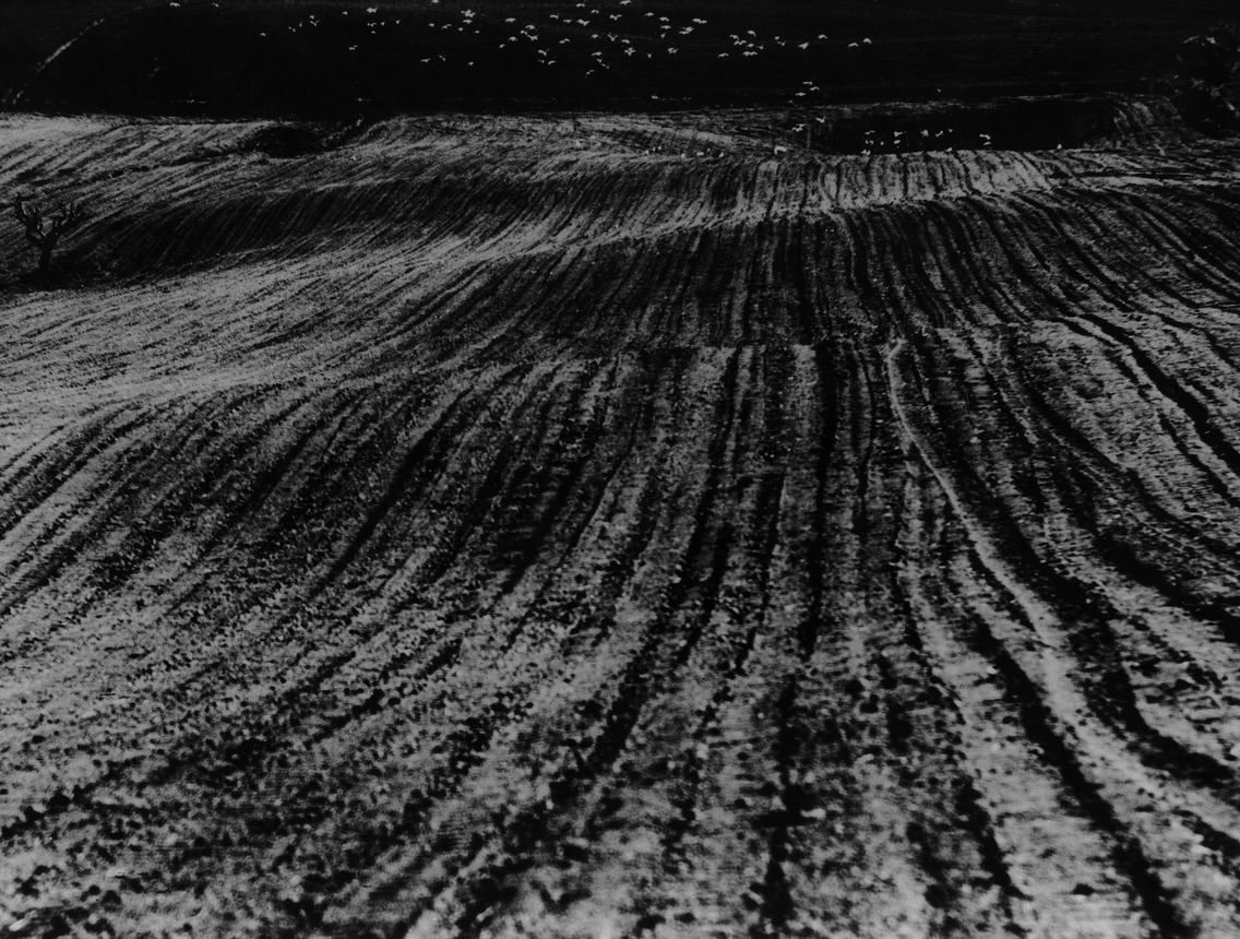 mario-giacomelli-des-oiseaux-exibart-street-photography-04