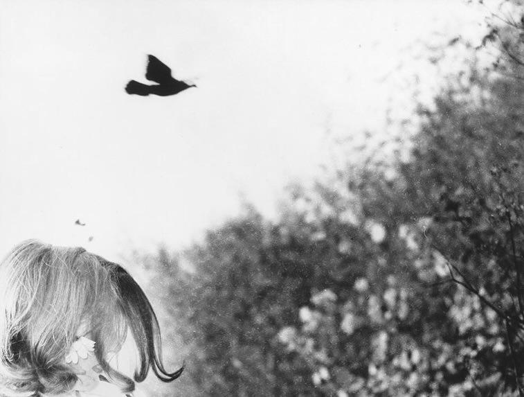 mario-giacomelli-des-oiseaux-exibart-street-photography-05