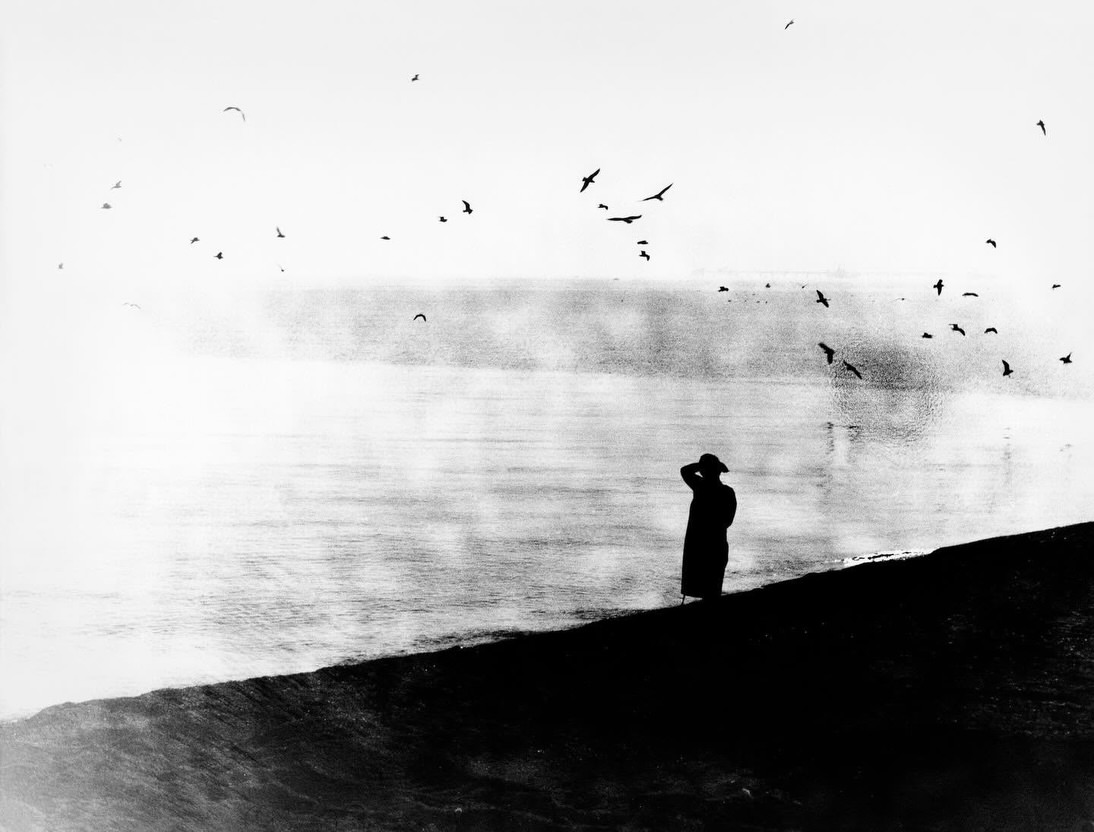 mario-giacomelli-des-oiseaux-exibart-street-photography-07