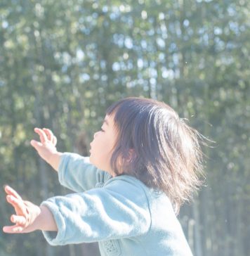 Rinko Kawauchi and Tokuko Ushioda: From Our Windows