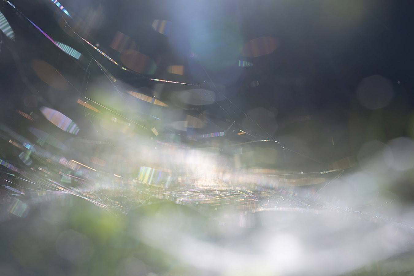 rinko-kawauchi-and-tokuko-ushioda-from-our-windows-exibart-street-photography-05